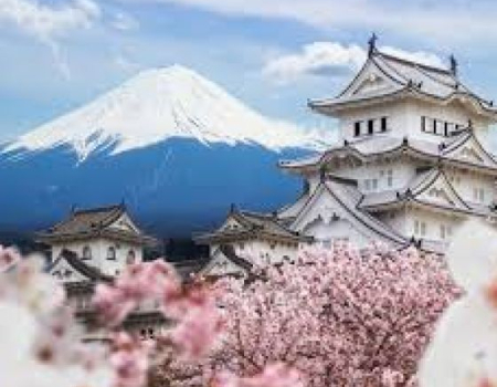 TOKYO -NÚI PHÚ SĨ YAMANASHI