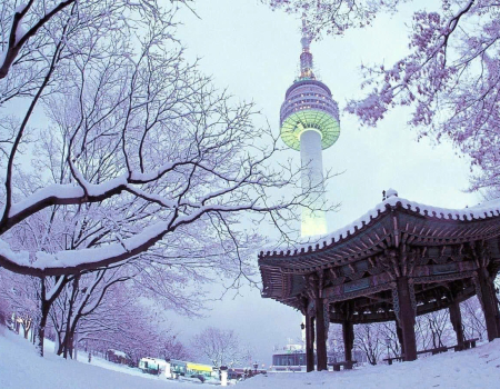 TOUR HÀN QUỐC| MÙA ĐÔNG | BUSAN | DAEGU | SEOUL 