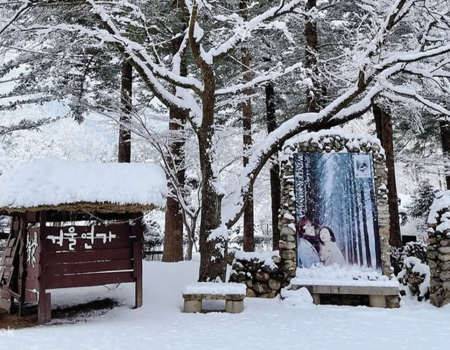 TOUR HÀN QUỐC| MÙA ĐÔNG | SEOUL | NAMI